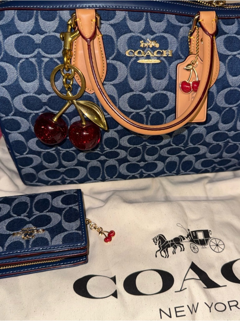 New Coach Large Denim Rowan
